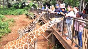 Nairobi Kenya tours