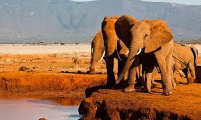 4 Days - Kenya Holiday camping safari