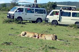 14 Days - Kenyan safari camping tour
